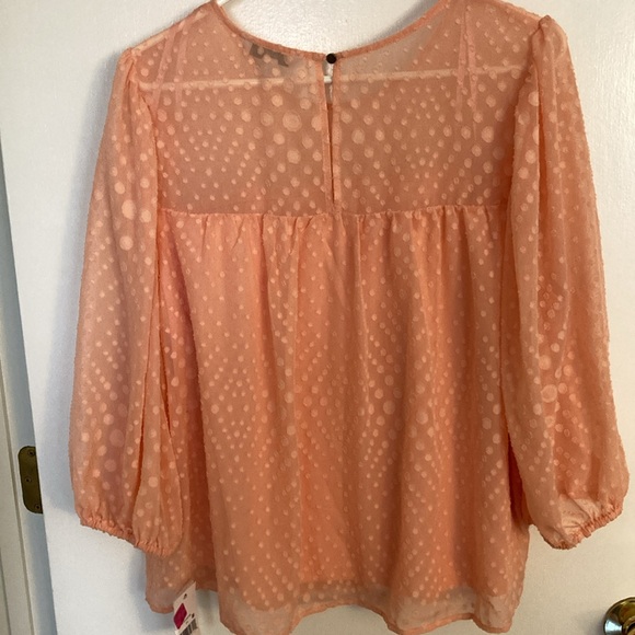Ophelia Roe, Peach, Womens Blouse, Size XL - Picture 2 of 12